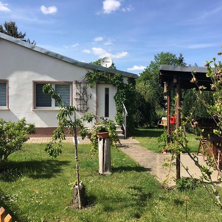 Ferienhaus An Der Selke Meisdorf Bagian luar foto