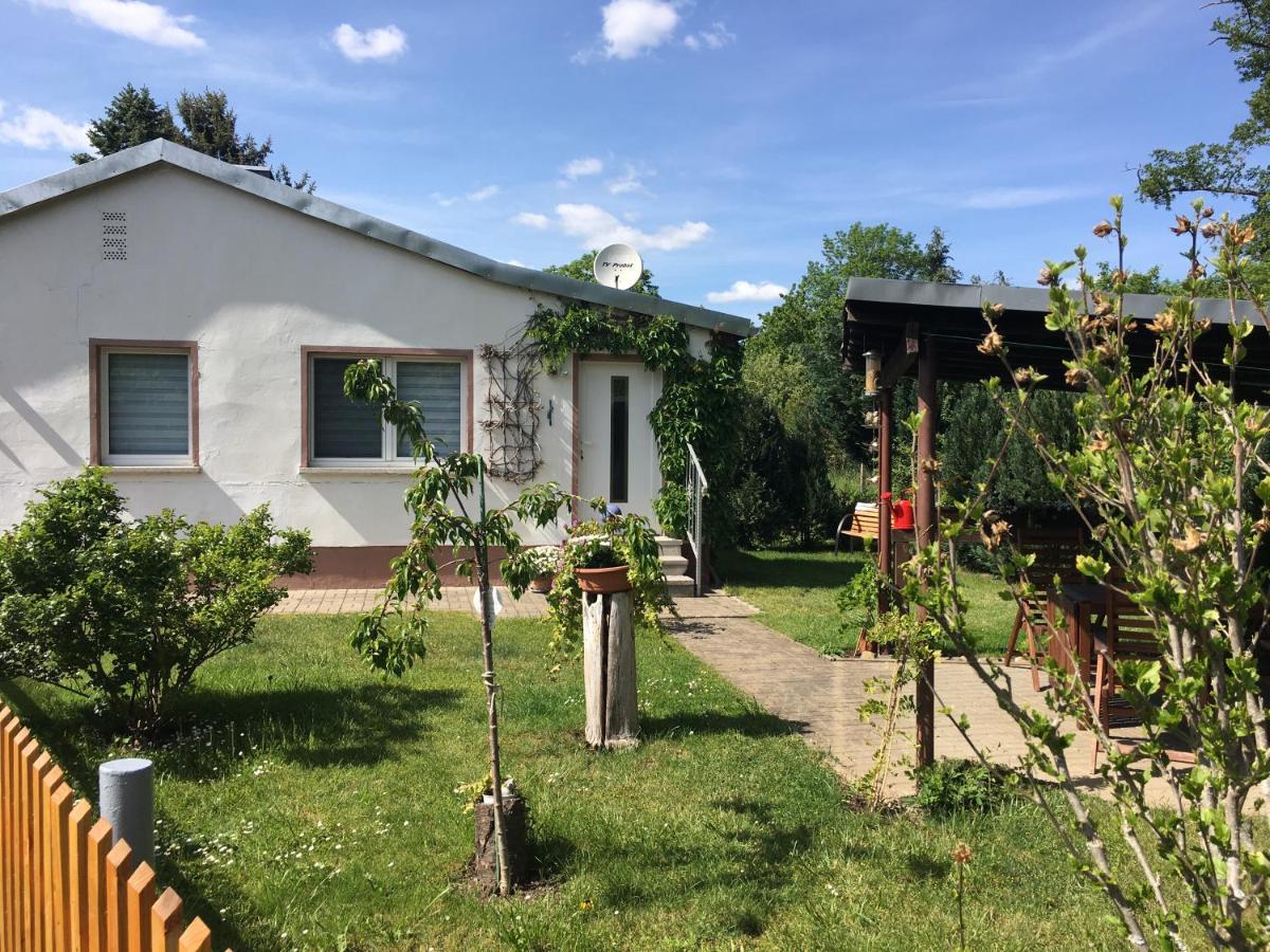 Ferienhaus An Der Selke Meisdorf Bagian luar foto