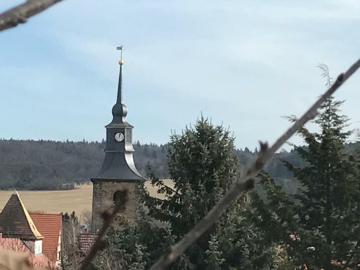 Ferienhaus An Der Selke Meisdorf Bagian luar foto
